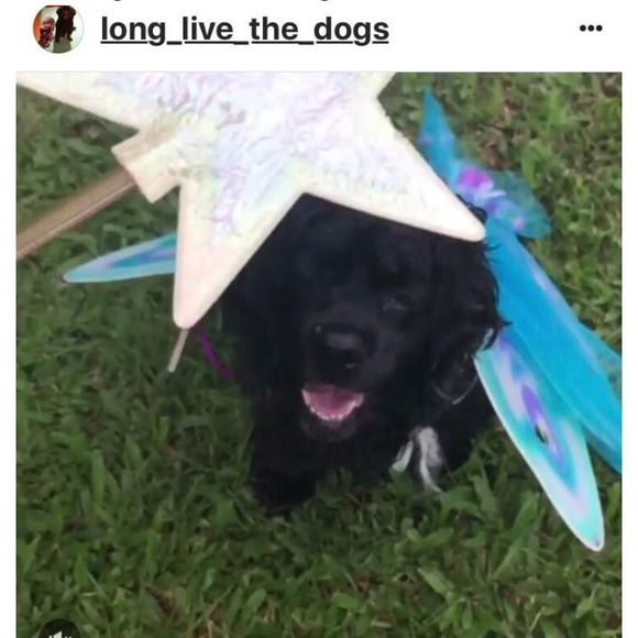 Meet your Posher, Walsh - Picture 1 of 1